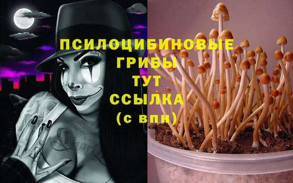 MDMA Premium VHQ Новозыбков