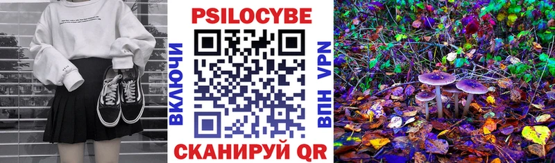 Галлюциногенные грибы Cubensis  где можно купить наркотик  сайты даркнета какой сайт  Знаменск 