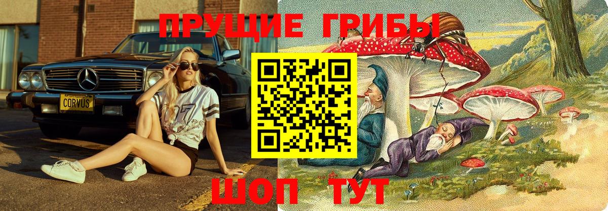 Псилоцибиновые грибы мухоморы Знаменск