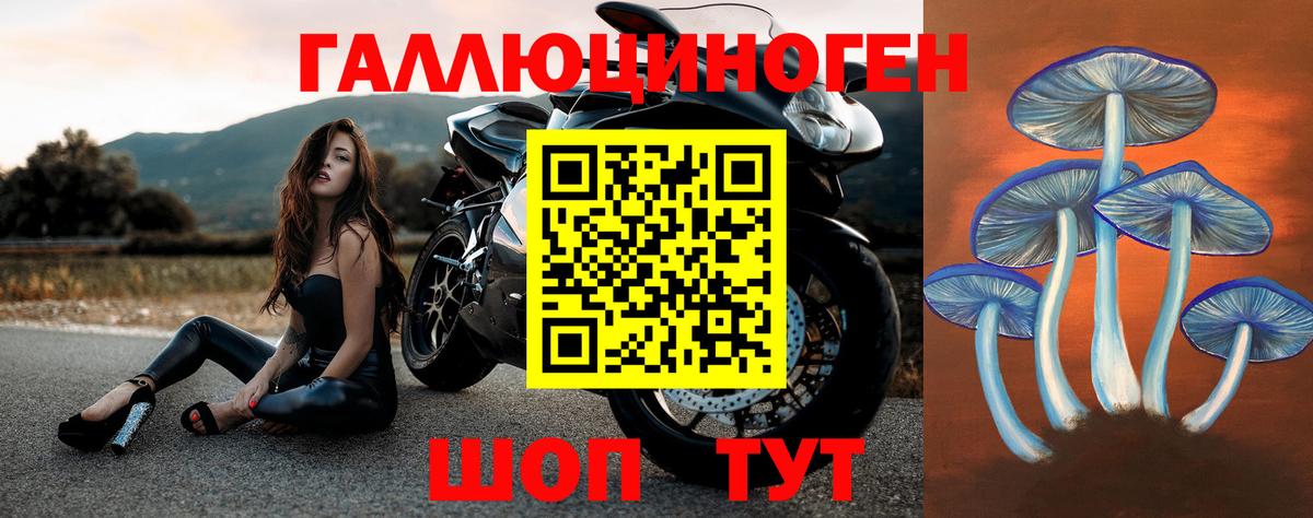 Знаменск  Псилоцибиновые грибы MAGIC MUSHROOMS  Вход с VPN 