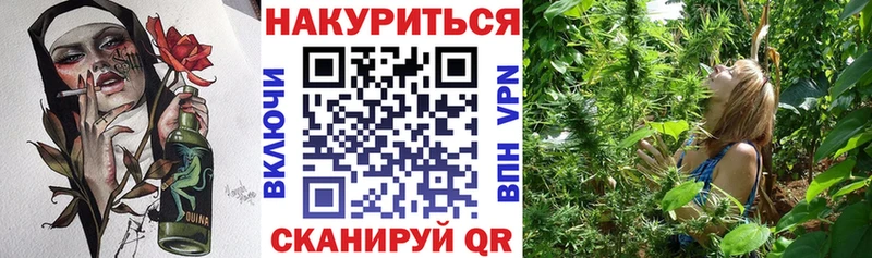 нарко площадка как зайти  Знаменск  Каннабис сатива 